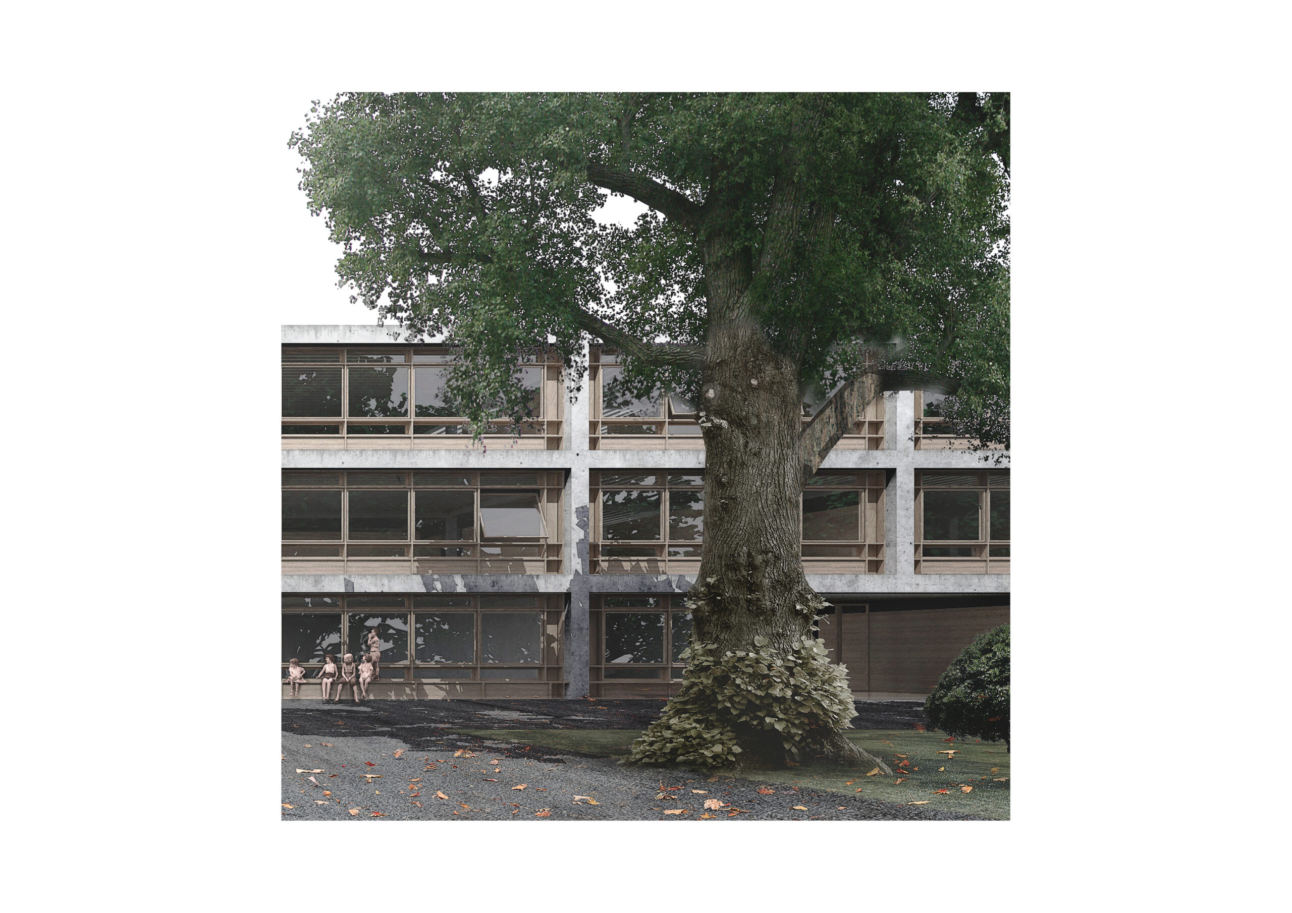 005_B1